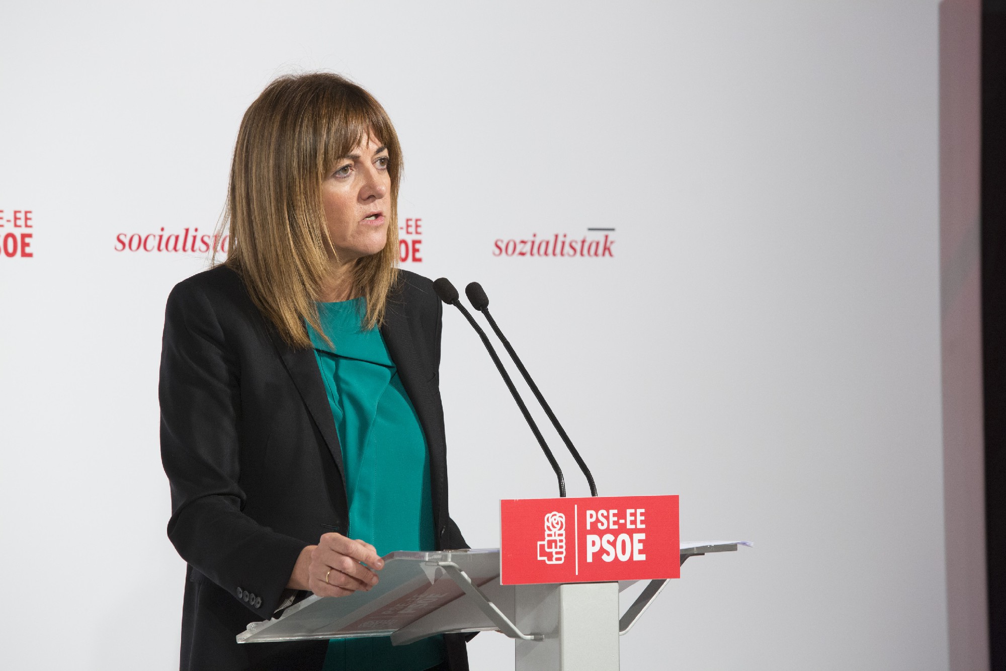 Idoia Mendia interviene en el Comité Nacional. FOTO I Socialistas Vascos