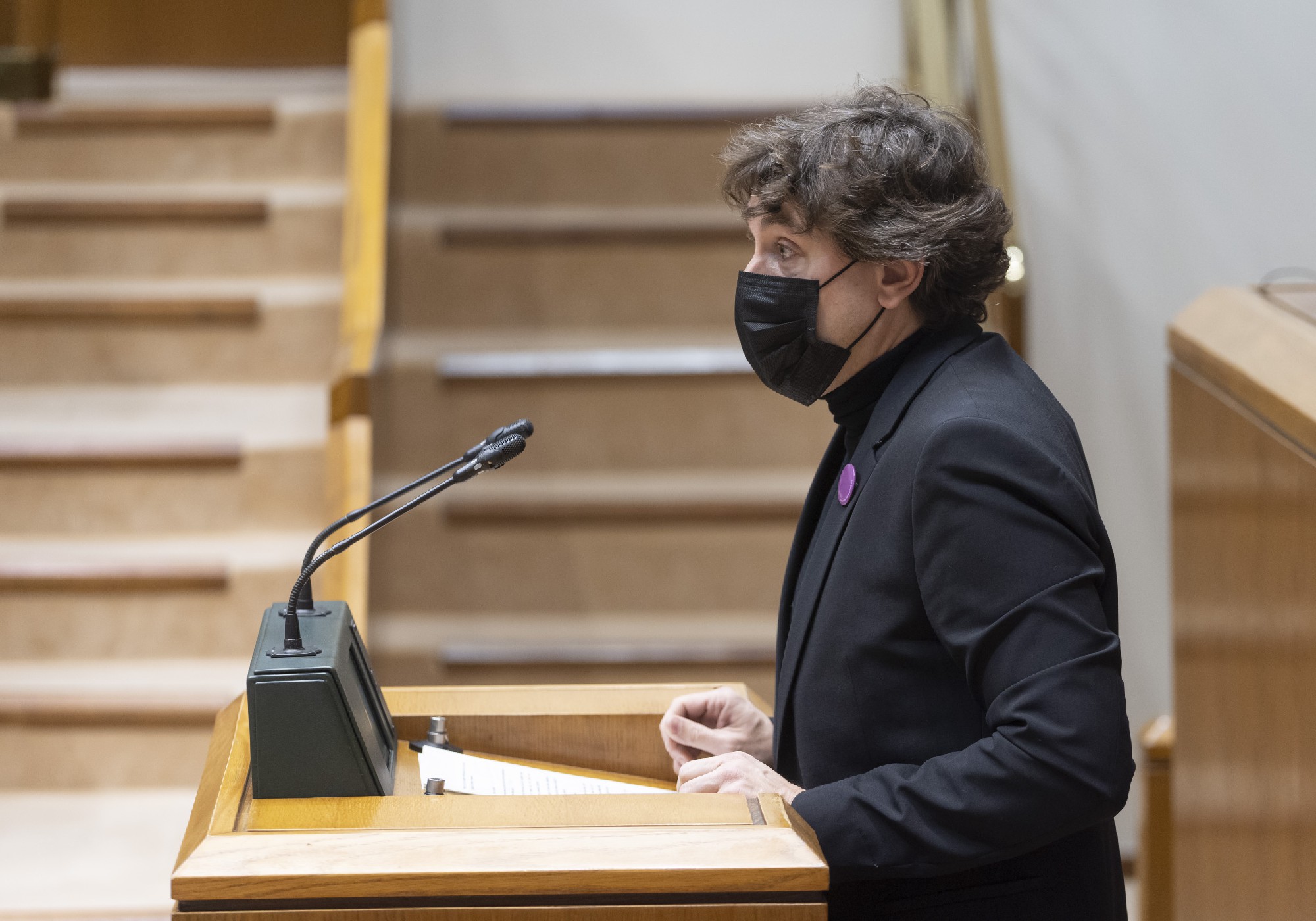 Eneko Andueza interviene en el Parlamento Vasco | Foto: Socialistas Vascos