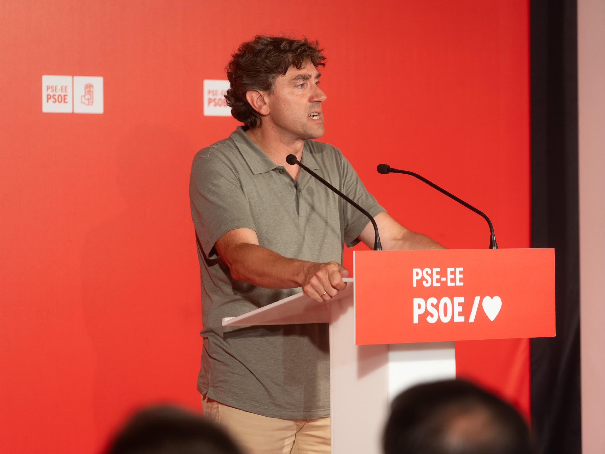 El Secretario General del PSE-EE, Eneko Andueza, durante su intervenci&oacute;n en el Comit&eacute; Nacional del PSE-EE | Foto: Socialistas Vascos
