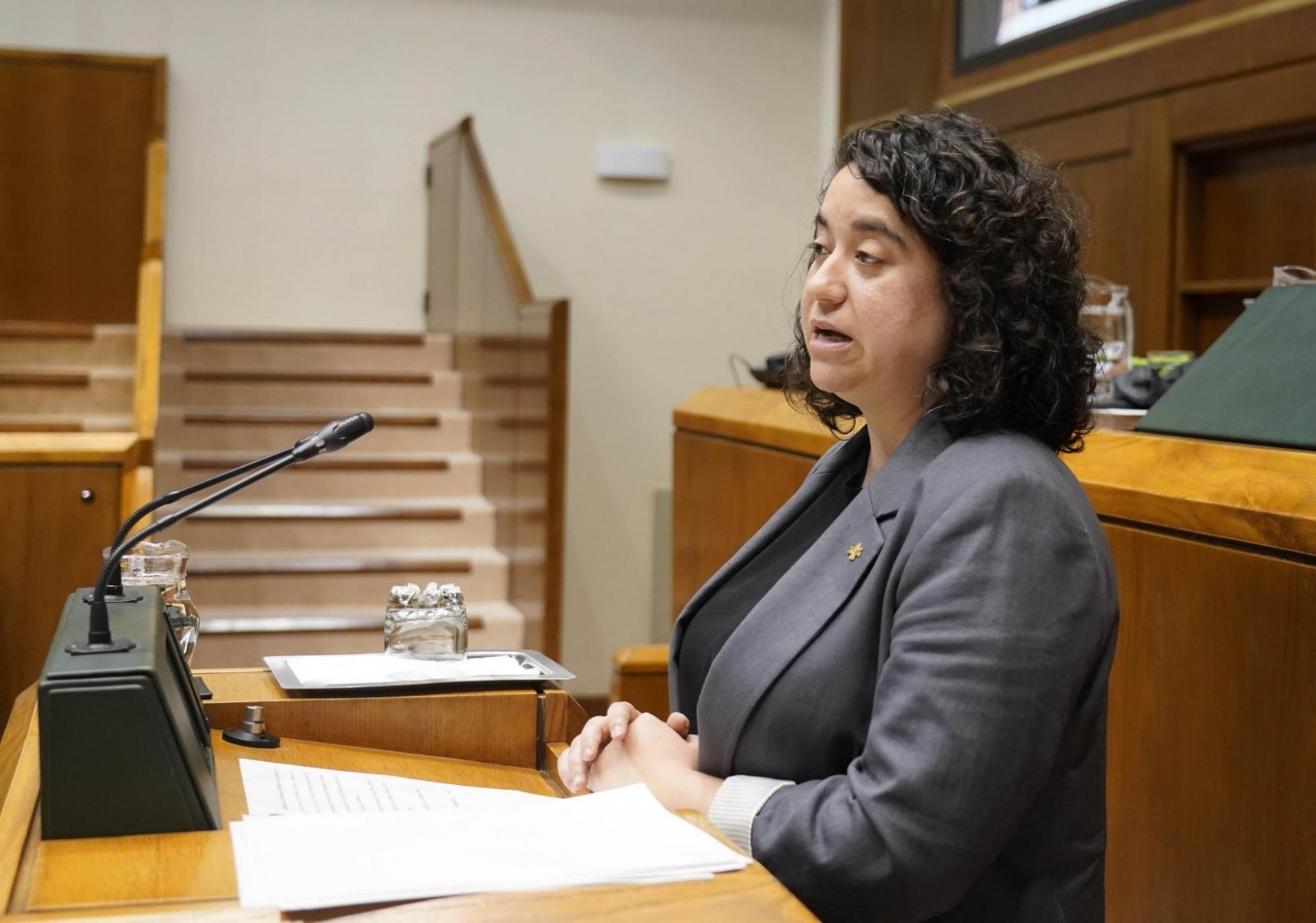 La portavoz de Educaci&oacute;n del PSE-EE, Est&iacute;baliz Canto  | Foto: Socialistas Vascos